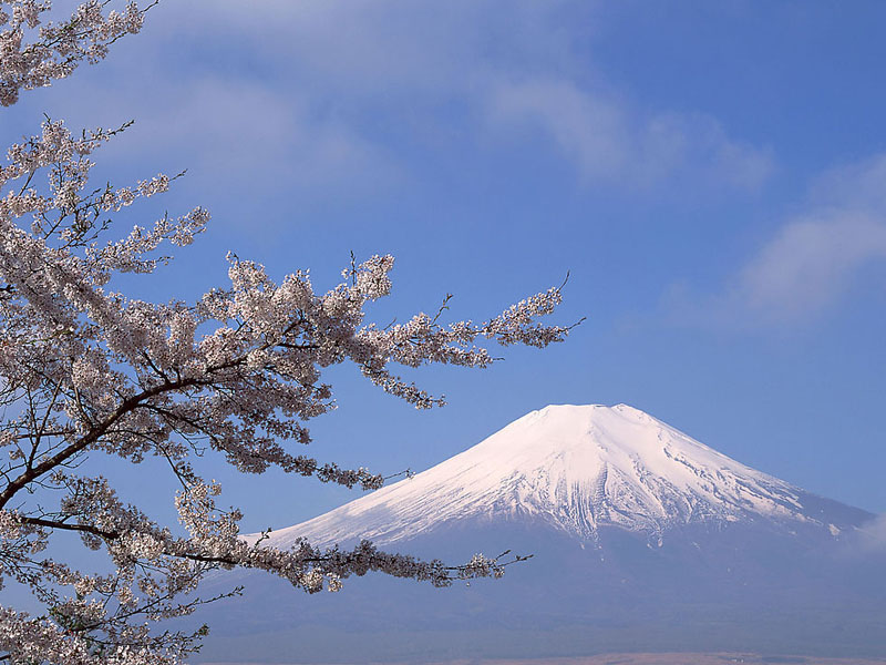 优美风景