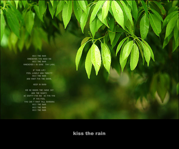 Kiss the Rain(雨的印记) – 李闰珉(Yiruma)