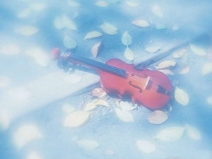微风细雨 （小提琴+琵琶）艺术家：张毅