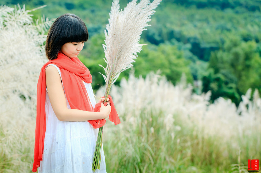 【人物】秋季美女素材《苇花情深》