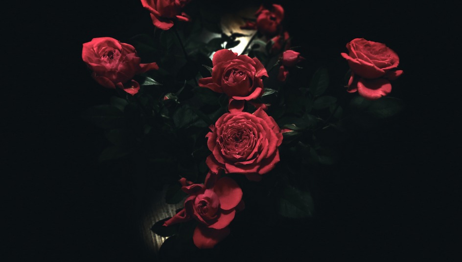 【爱情故事】从天国寄来的玫瑰