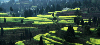故乡的原风景 艺术家：宗次郎