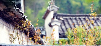唯美中国风《青瓦白墙恋徽州》艺术家：李志辉