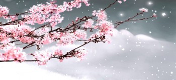 【古典诗词】临江仙 文/燚冰