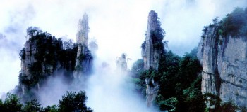 【现代诗歌】美人的情书