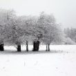 【网络投稿】雪之梦 文/燚冰