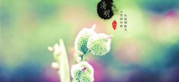 【伤感散文】又是一年清明时，多少泪与多少愁 文/林