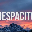 【一起来洗脑】西班牙洗脑神曲《Despacito》器乐演奏多版本