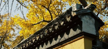 【原创】随处可见那些禅词斑驳（现代诗歌）