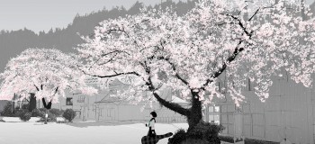 【网络美文】你是我遥不可及的梦 文/林愔