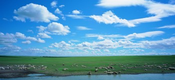 【散文诗】在那遥远的地方 文/冰山雪莲