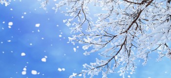 天空下起了连城雪