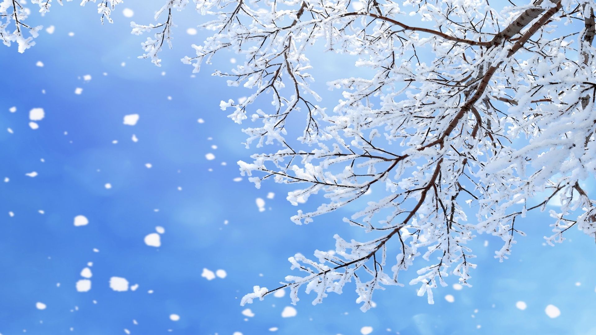 [4K]唯美下雪飘落雪花飘飘堆积成花朵视频素材,延时摄影视频素材下载,高清3840X2160视频素材下载,凌点视频素材网,编号:46079