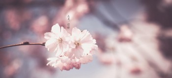 【散文随笔】三月你好