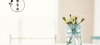 遇见你的那一年，那一天（五）